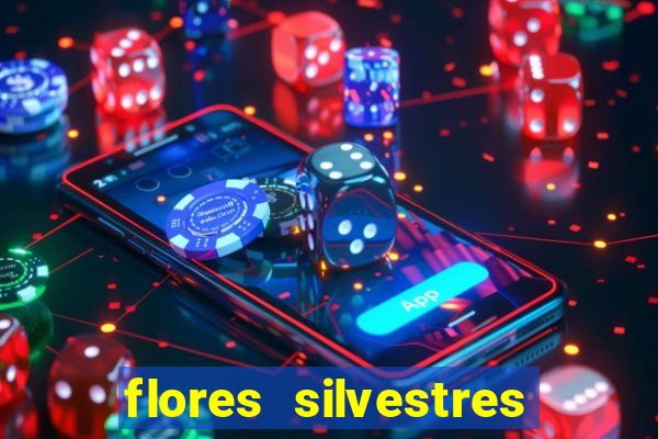 flores silvestres desbravadores desbravadores 25